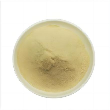 Pyridoxal-5-phosphate CAS 54-47-7