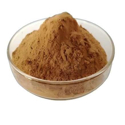 Angelica Extract CAS#84775-41-7